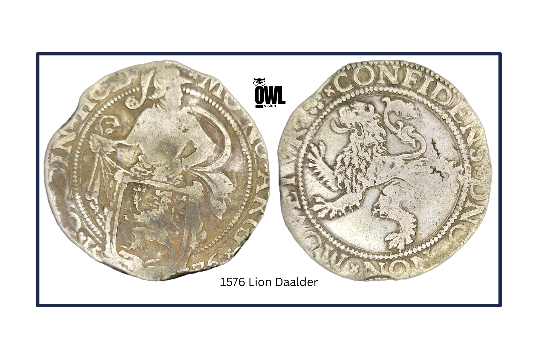 Lion Dollar (1)